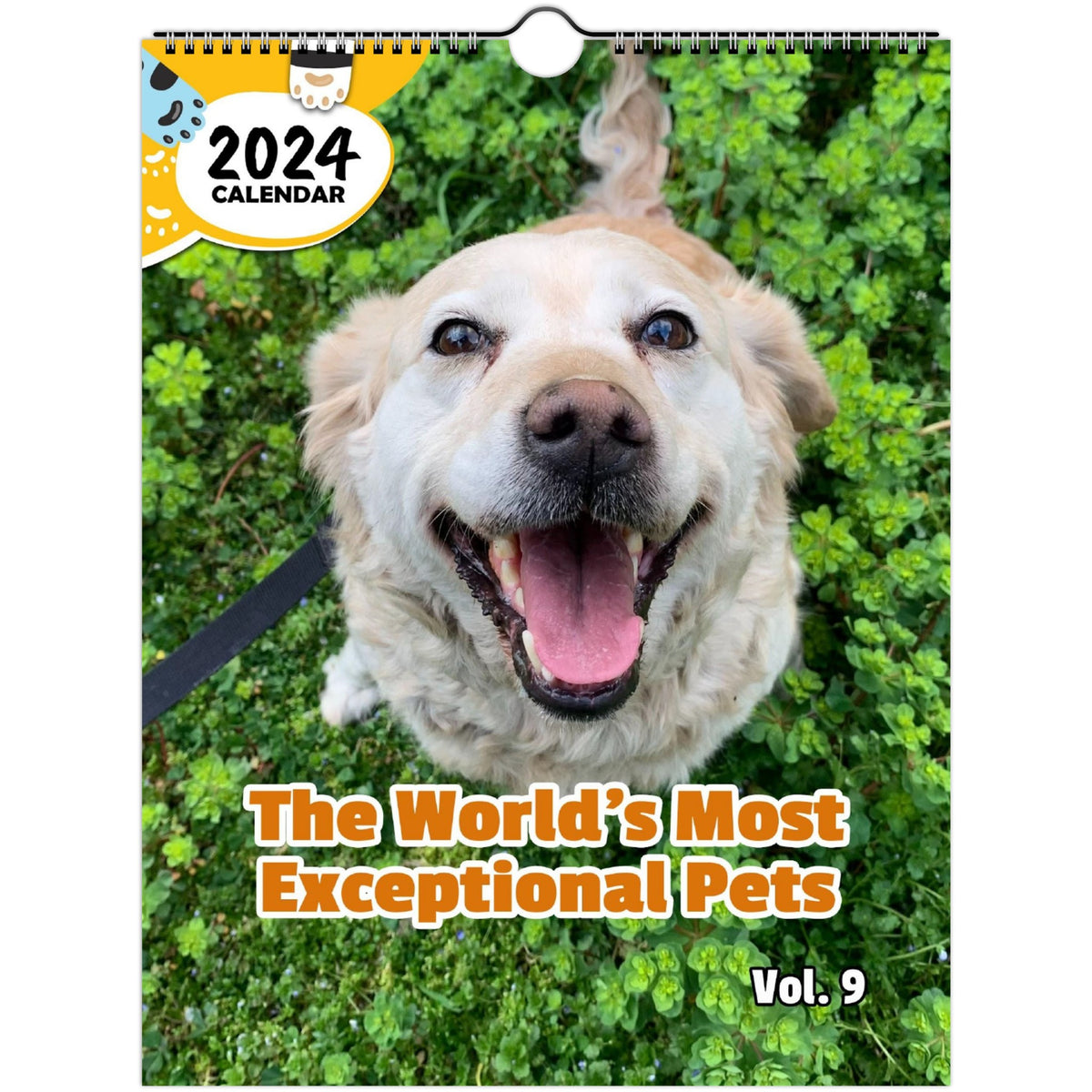 The World's Most Exceptional Pets Volume Nine 2024 Wall Calendar (Pre