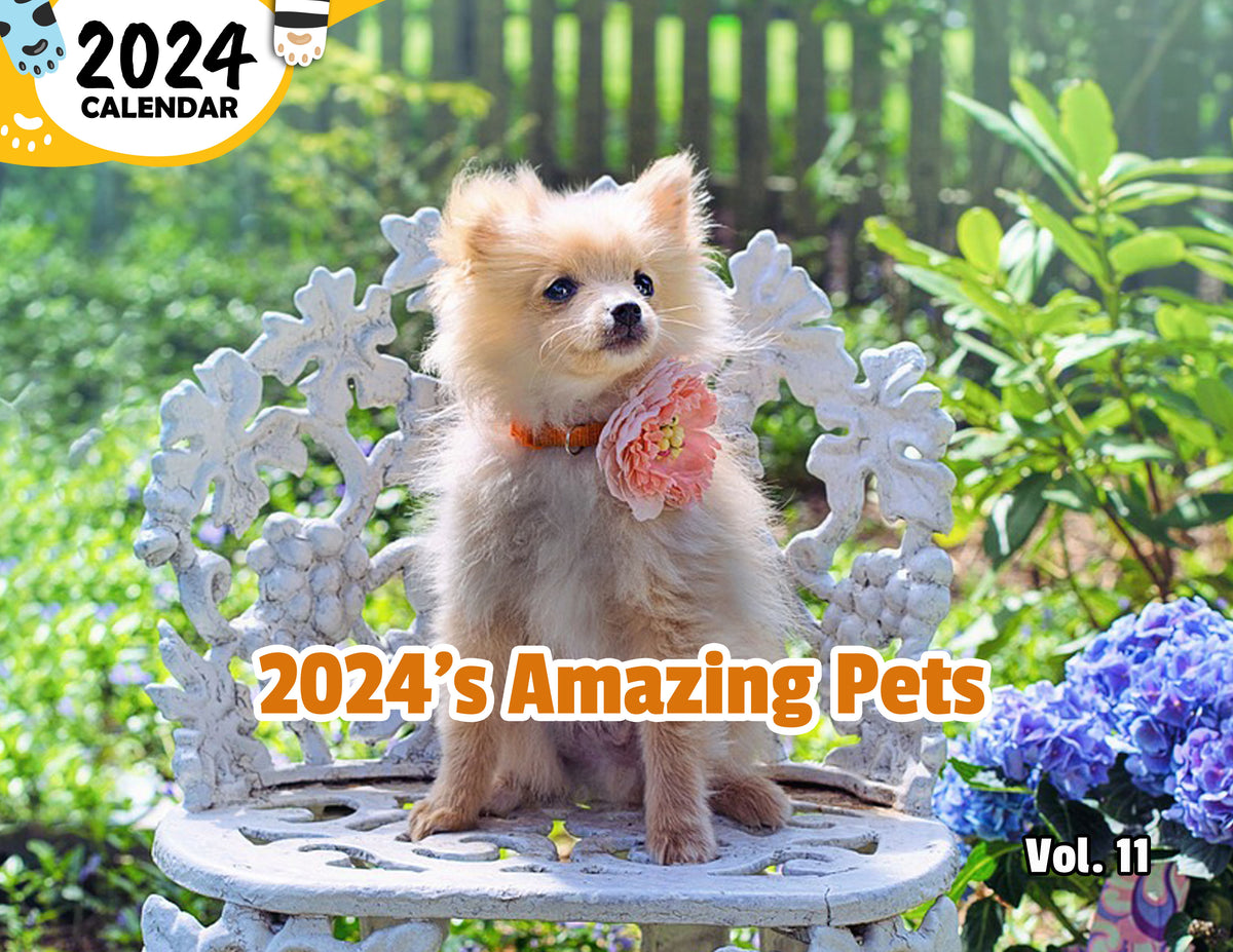 2024's Amazing Pets Volume Eleven 2024 Wall Calendar (Published