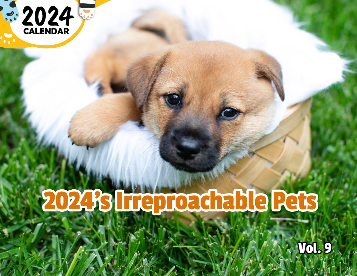 2024's Irreproachable Pets Volume Nine 2024 Wall Calendar (PreOrder