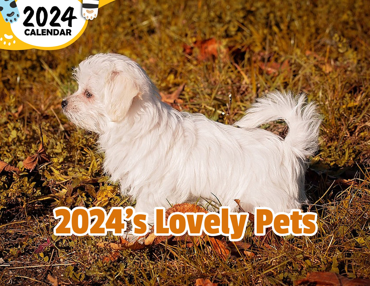 2024's Lovely Pets 2024 Wall Calendar (PreOrder) Praise My Pet!