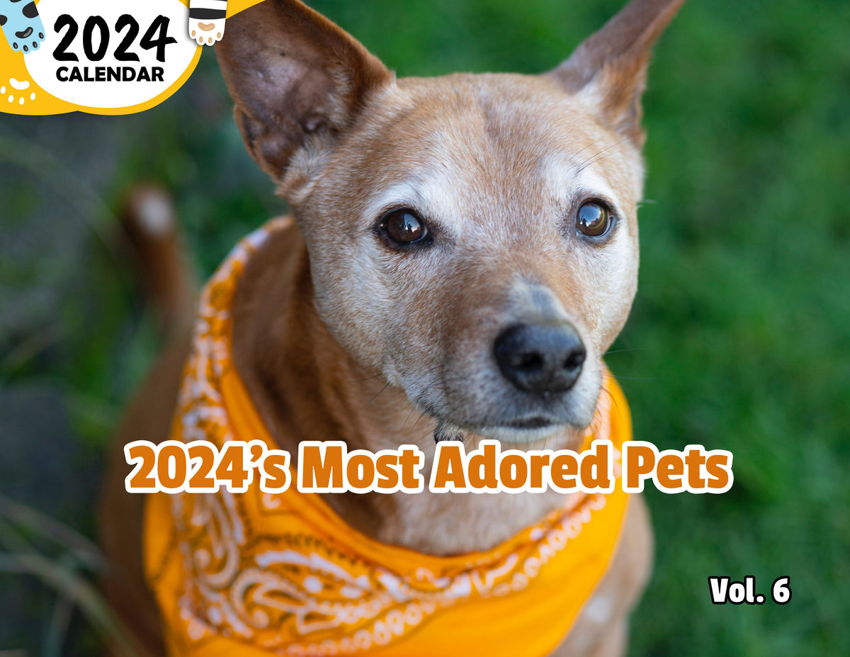 2024's Most Adored Pets Volume Six 2024 Wall Calendar (PreOrder