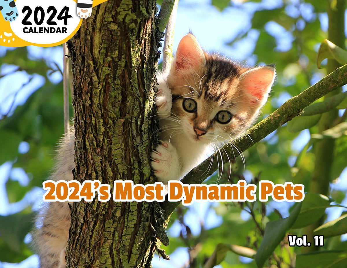 2024's Most Dynamic Pets Volume Eleven 2024 Wall Calendar (PreOrder