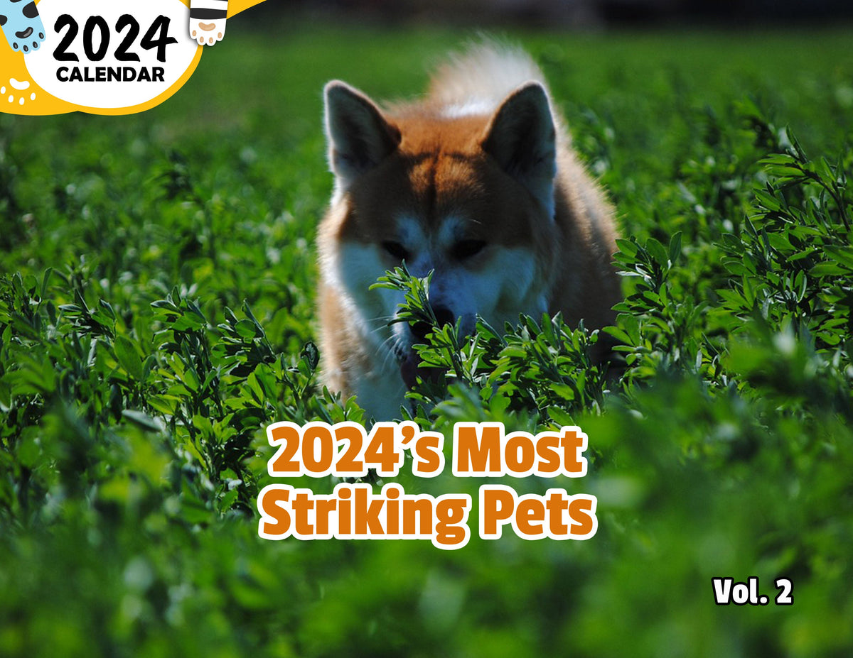 2024's Most Striking Pets Volume Two 2024 Wall Calendar (PreOrder