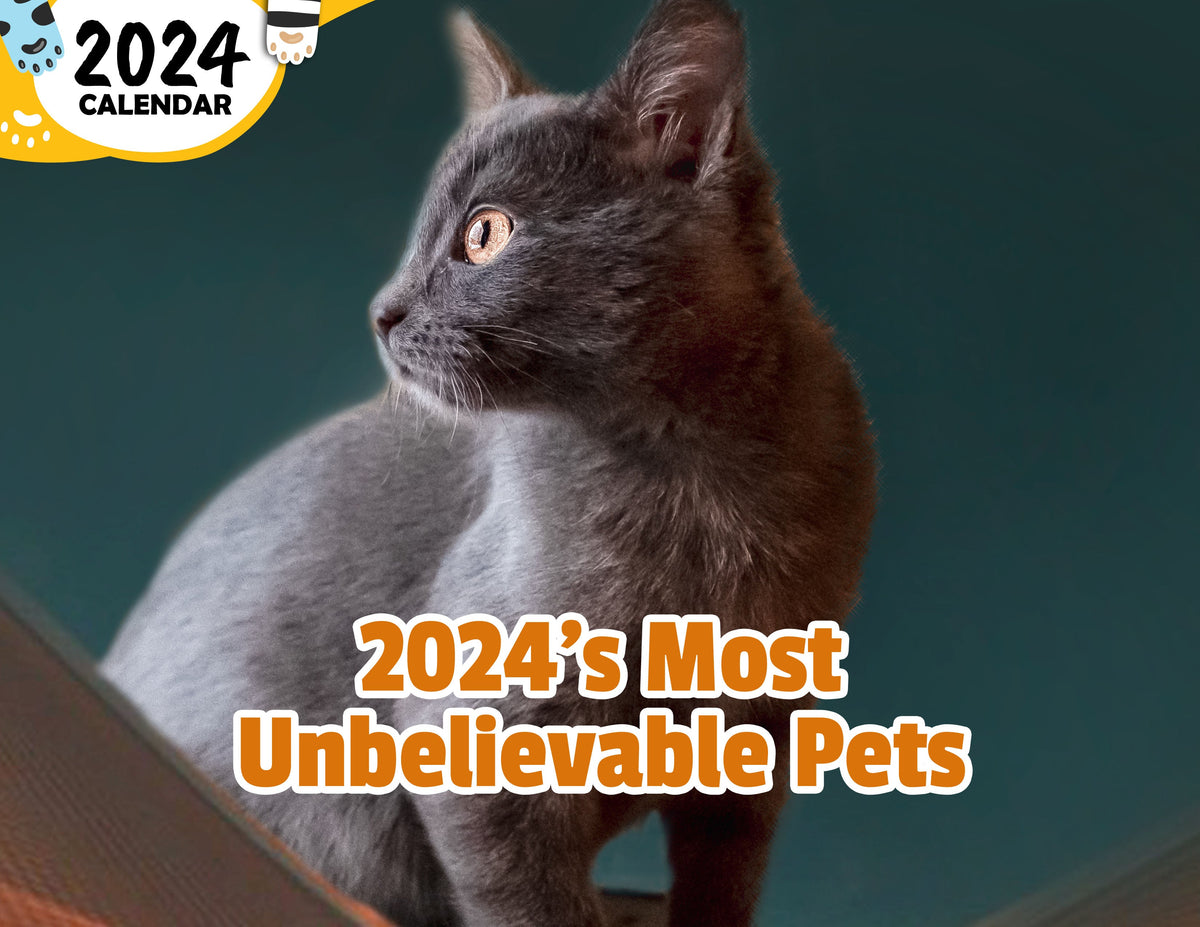 2024's Most Unbelievable Pets 2024 Wall Calendar (Published) Praise