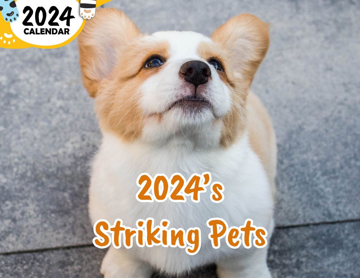 2024's Striking Pets 2024 Wall Calendar (PreOrder) Praise My Pet!