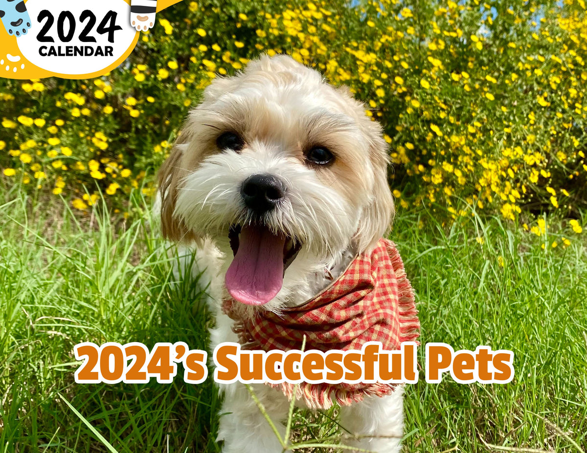 2024's Successful Pets 2024 Wall Calendar (Published) Praise My Pet!