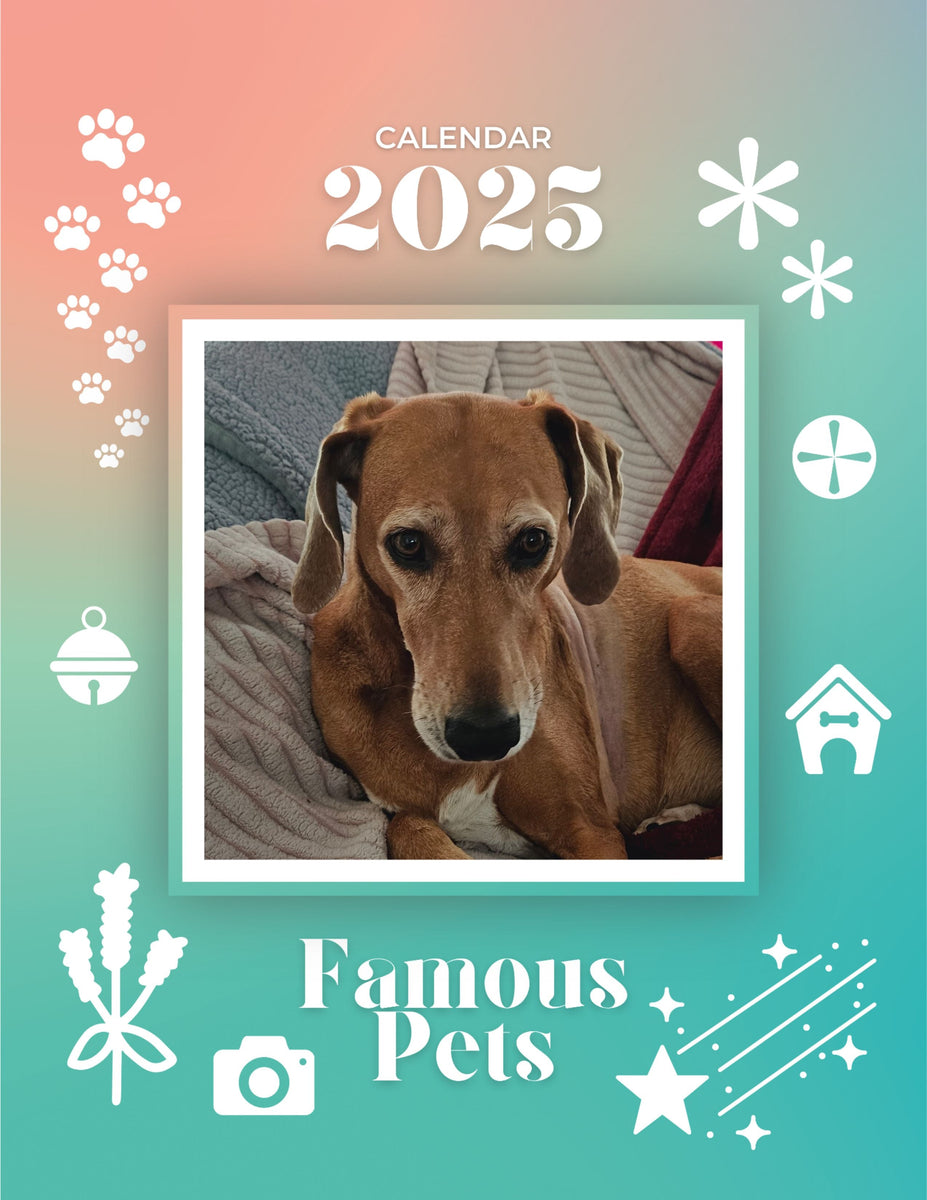 Famous Pets 2025 Wall Calendar (PreOrder) Praise My Pet!