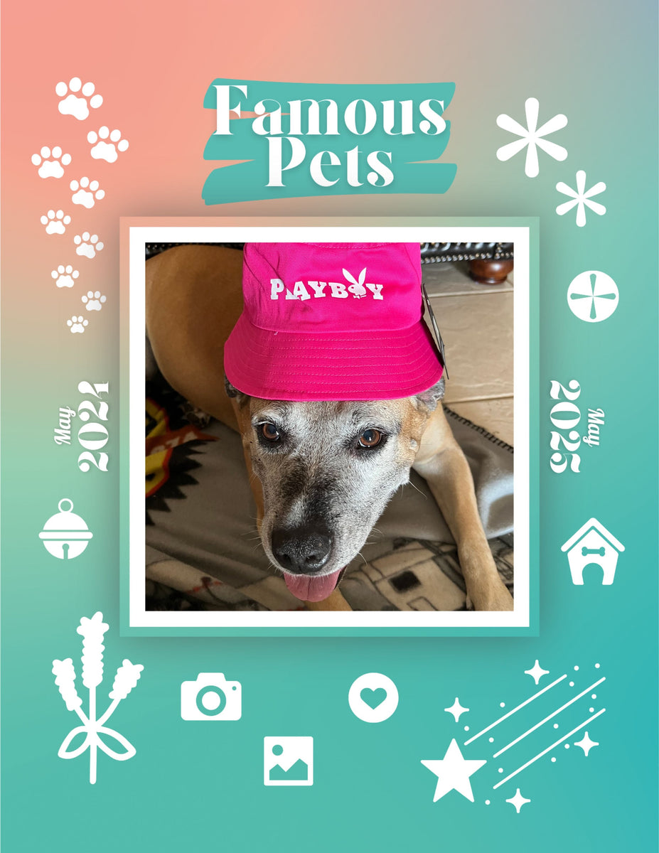 Famous Pets May 2024May 2025 Wall Calendar (PreOrder) Praise My Pet!