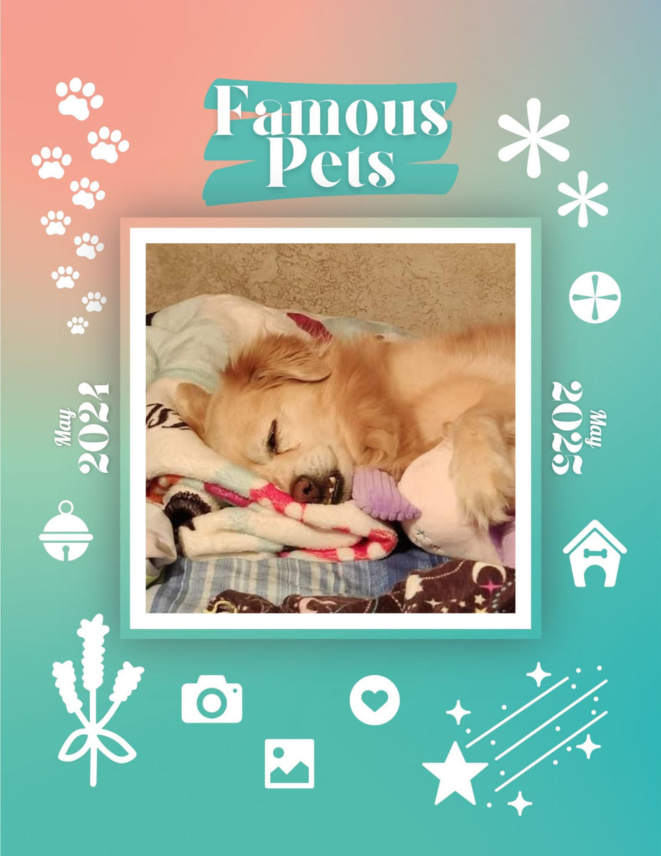 Famous Pets May 2024May 2025 Wall Calendar (PreOrder) Praise My Pet!