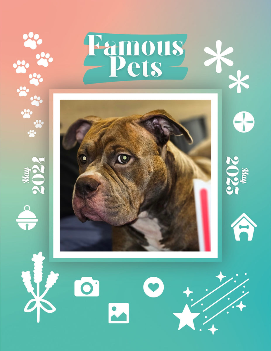 Famous Pets May 2024May 2025 Wall Calendar (PreOrder) Praise My Pet!