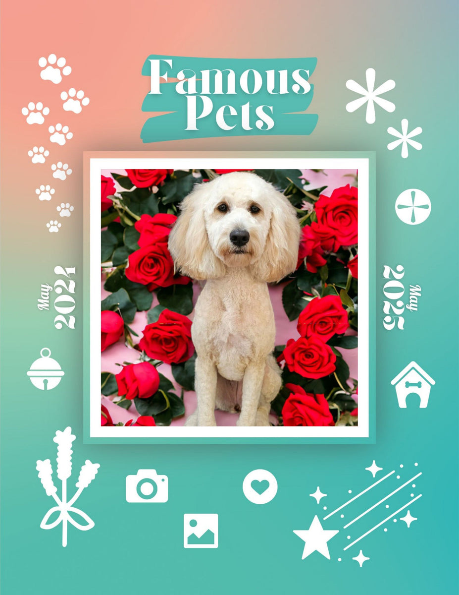 Famous Pets May 2024May 2025 Wall Calendar (PreOrder) Praise My Pet!