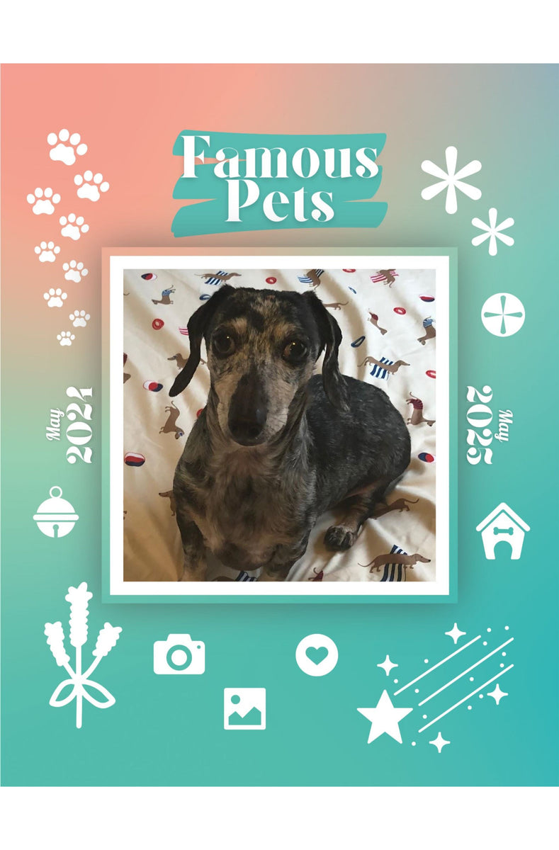 Famous Pets May 2024May 2025 Wall Calendar (PreOrder) Praise My Pet!