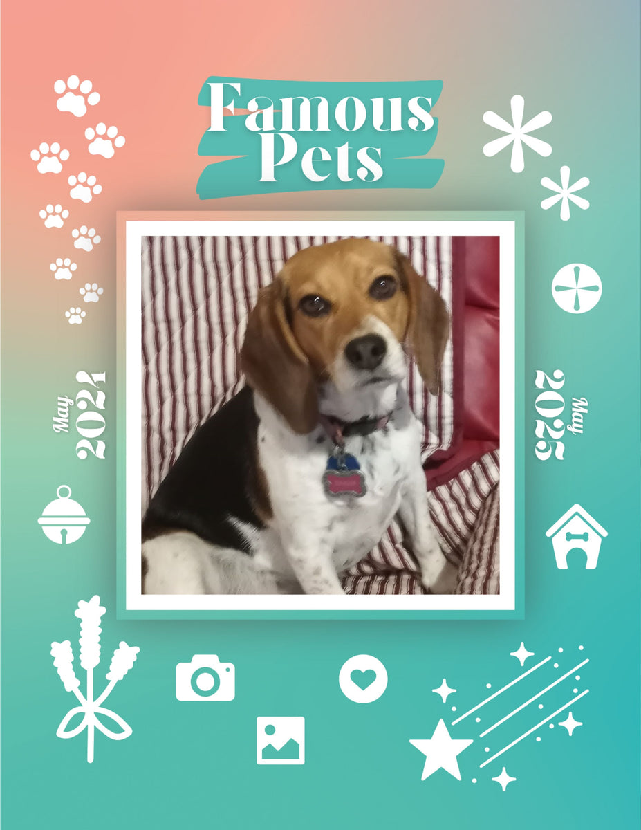 Famous Pets May 2024May 2025 Wall Calendar (PreOrder) Praise My Pet!