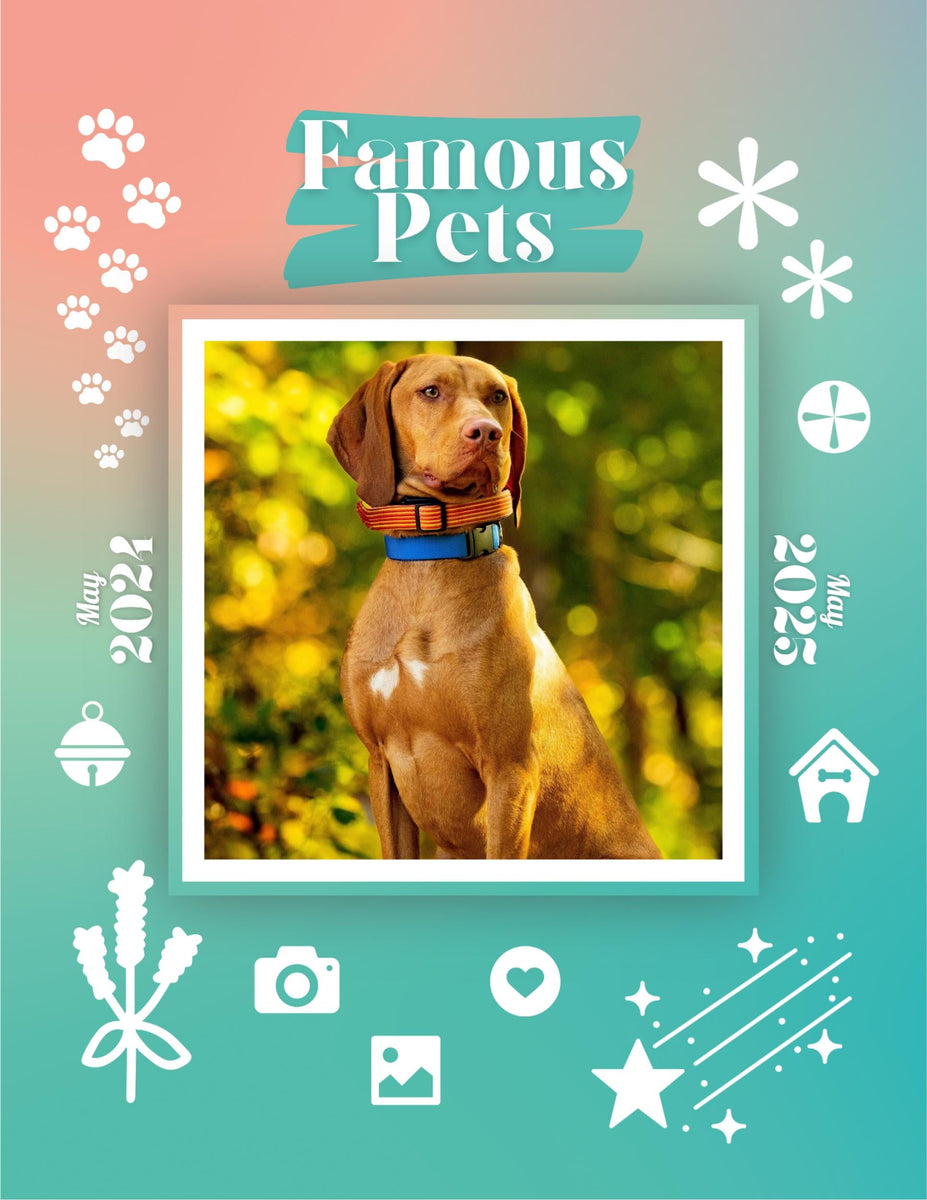 Famous Pets May 2024May 2025 Wall Calendar (PreOrder) Praise My Pet!