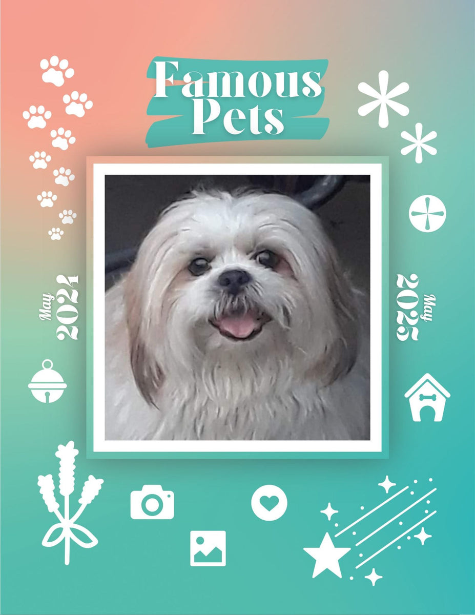 Famous Pets May 2024May 2025 Wall Calendar (PreOrder) Praise My Pet!