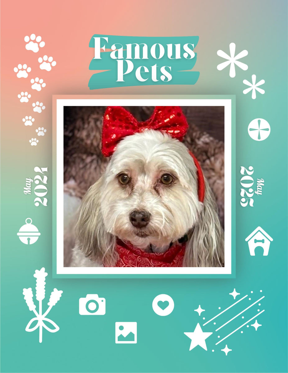 Famous Pets May 2024May 2025 Wall Calendar (PreOrder) Praise My Pet!