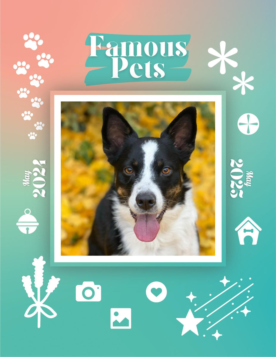 Famous Pets May 2024May 2025 Wall Calendar (PreOrder) Praise My Pet!