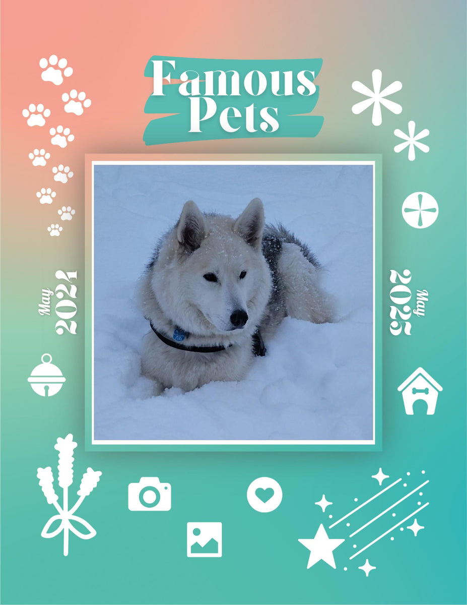 Famous Pets May 2024May 2025 Wall Calendar (PreOrder) Praise My Pet!