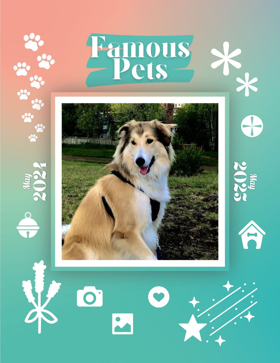 Famous Pets May 2024May 2025 Wall Calendar (PreOrder) Praise My Pet!