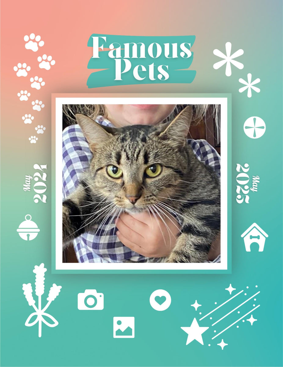 Famous Pets May 2024May 2025 Wall Calendar (PreOrder) Praise My Pet!