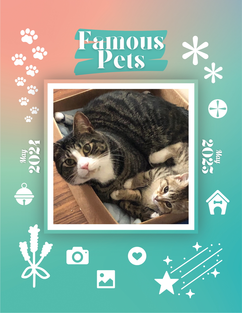 Famous Pets May 2024May 2025 Wall Calendar (PreOrder) Praise My Pet!