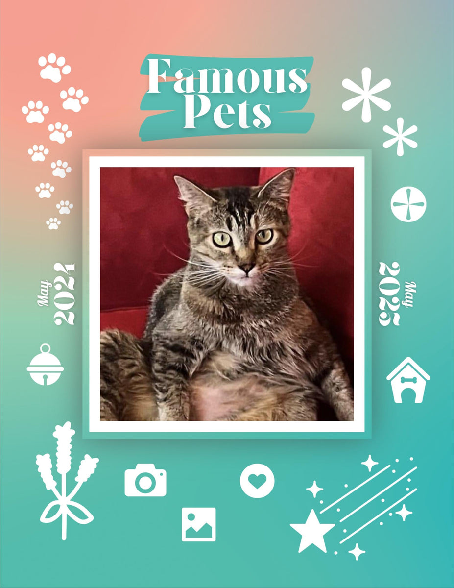 Famous Pets May 2024May 2025 Wall Calendar (PreOrder) Praise My Pet!