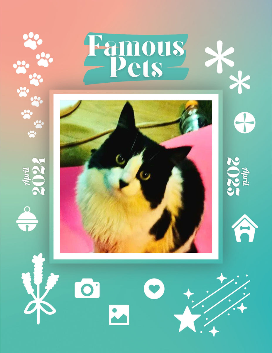 Famous Pets April 2024April 2025 Wall Calendar (PreOrder) Praise