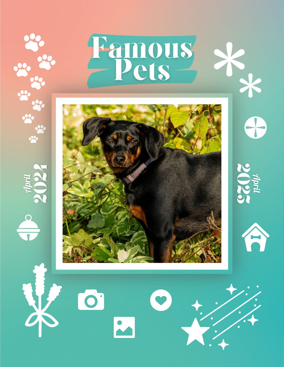 Famous Pets April 2024April 2025 Wall Calendar (PreOrder) Praise