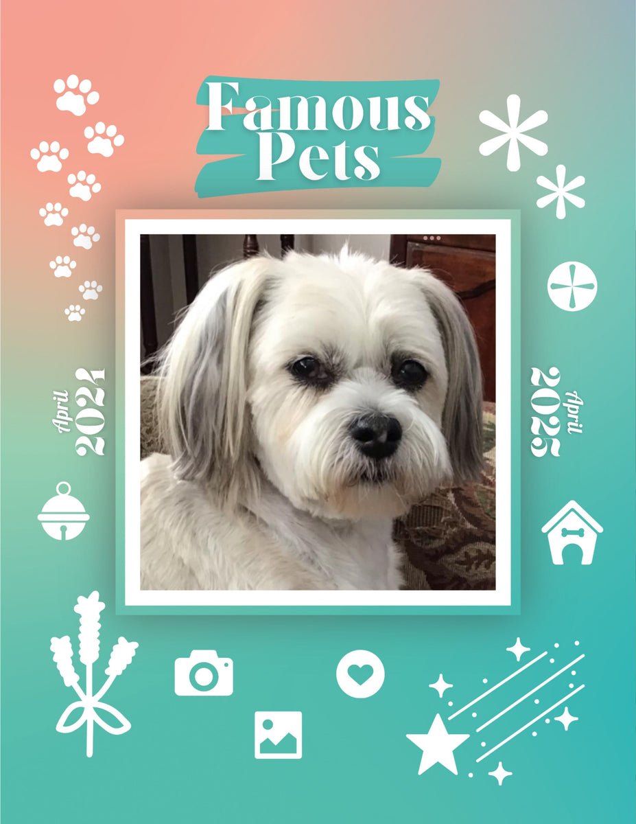 Famous Pets April 2024April 2025 Wall Calendar (PreOrder) Praise