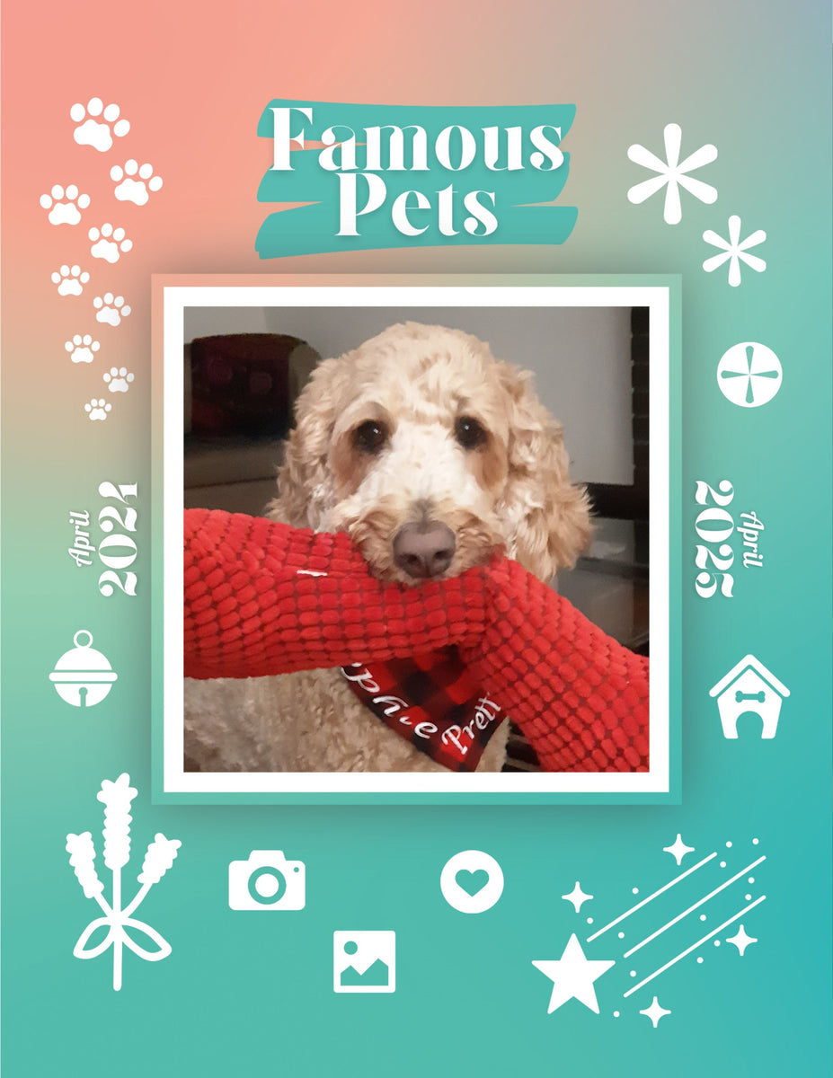 Famous Pets April 2024April 2025 Wall Calendar (PreOrder) Praise