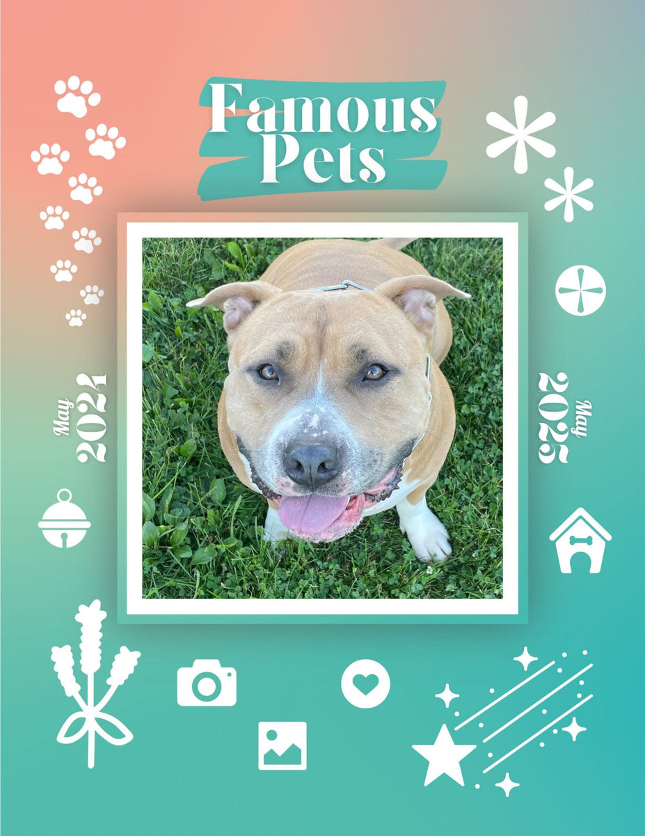 Famous Pets May 2024May 2025 Wall Calendar (PreOrder) Praise My Pet!