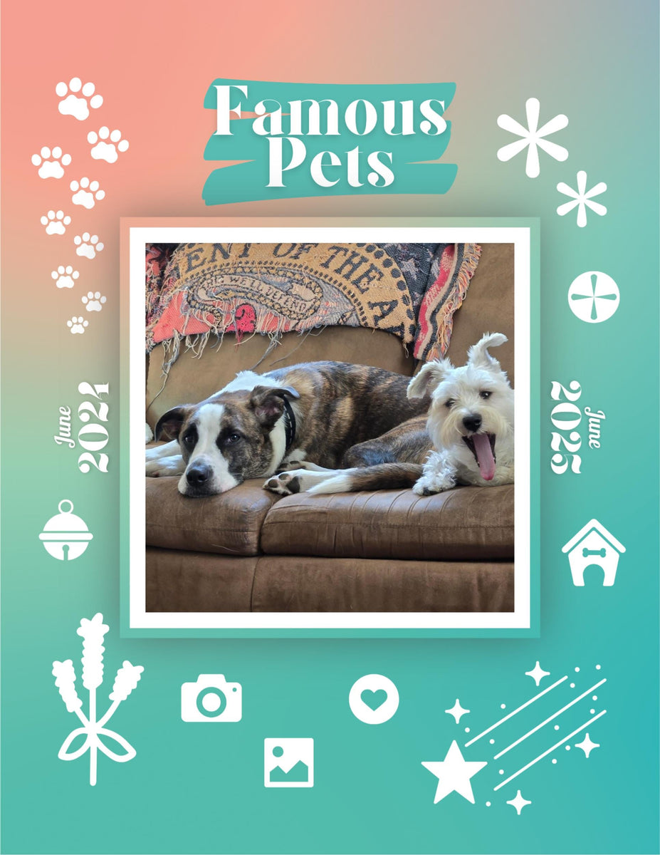 Famous Pets June 2024June 2025 Wall Calendar (PreOrder) Praise My Pet!