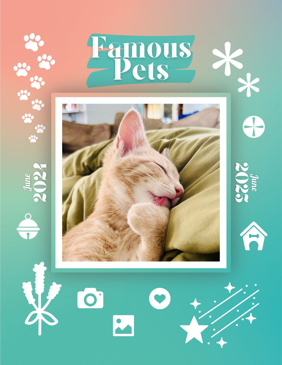 Famous Pets June 2024June 2025 Wall Calendar (PreOrder) Praise My Pet!