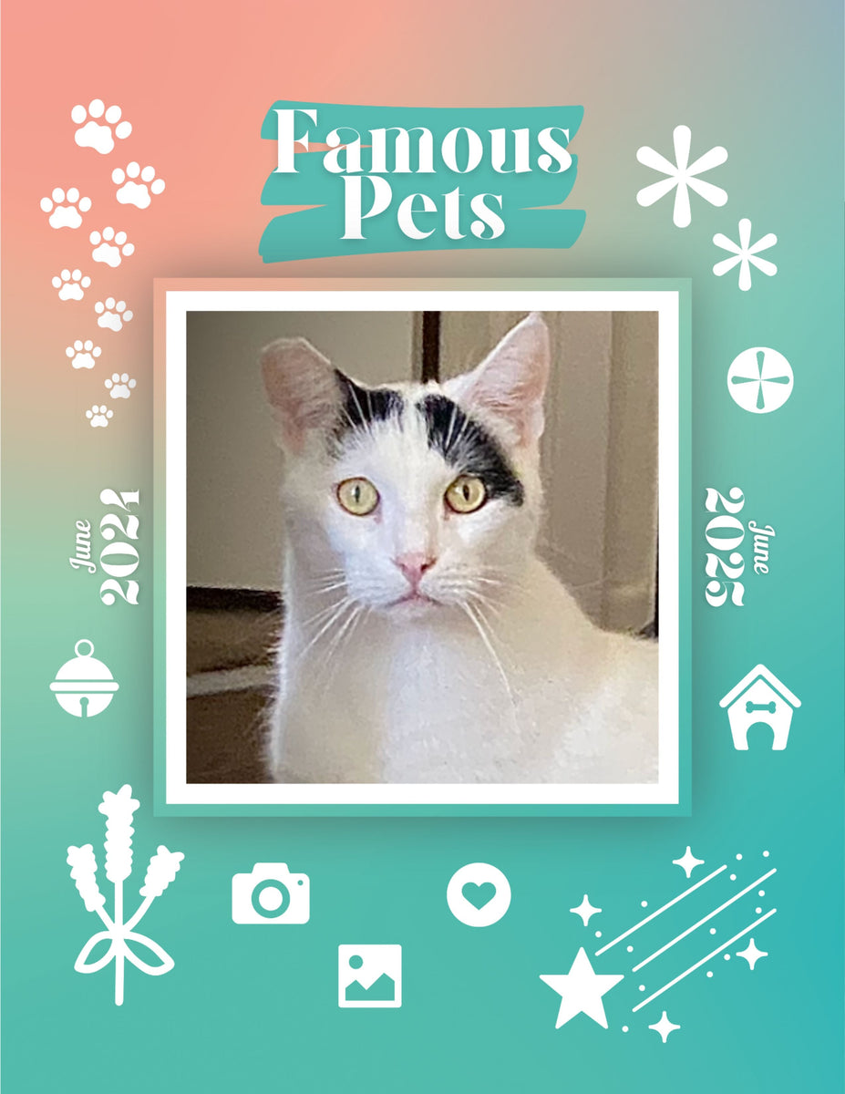 Famous Pets June 2024June 2025 Wall Calendar (PreOrder) Praise My Pet!