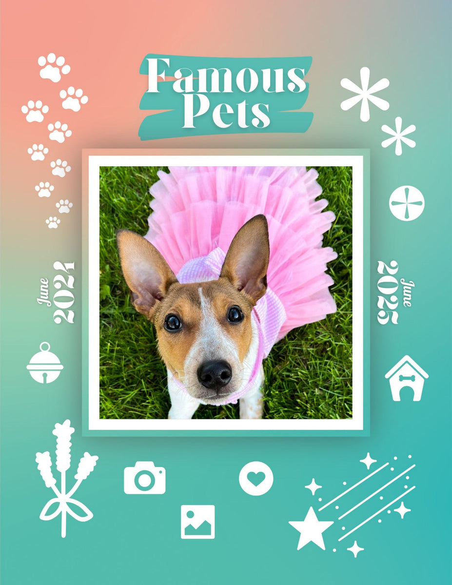 Famous Pets June 2024June 2025 Wall Calendar (PreOrder) Praise My Pet!