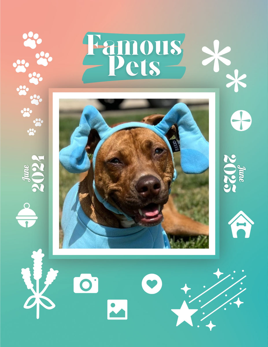 Famous Pets June 2024June 2025 Wall Calendar (PreOrder) Praise My Pet!