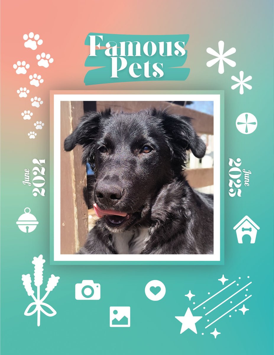 Famous Pets June 2024June 2025 Wall Calendar (PreOrder) Praise My Pet!