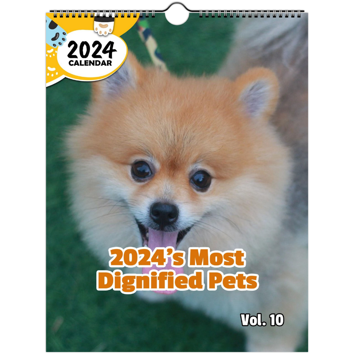 2024's Most Dignified Pets Volume Ten 2024 Wall Calendar (Published