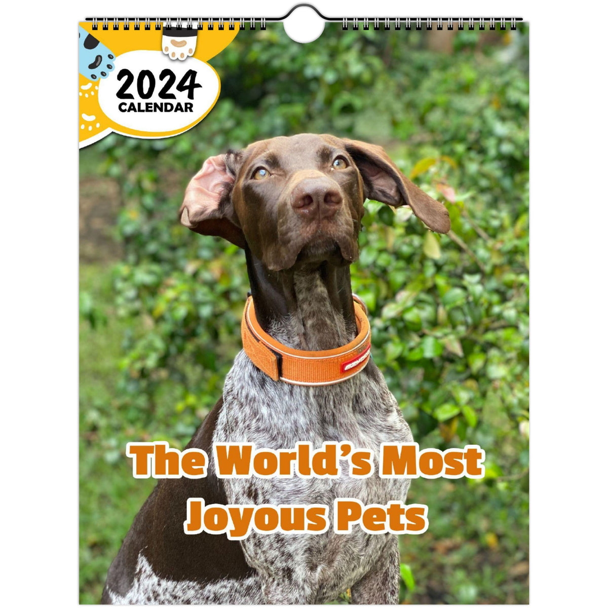 The World's Most Joyous Pets 2024 Wall Calendar (Published) Praise