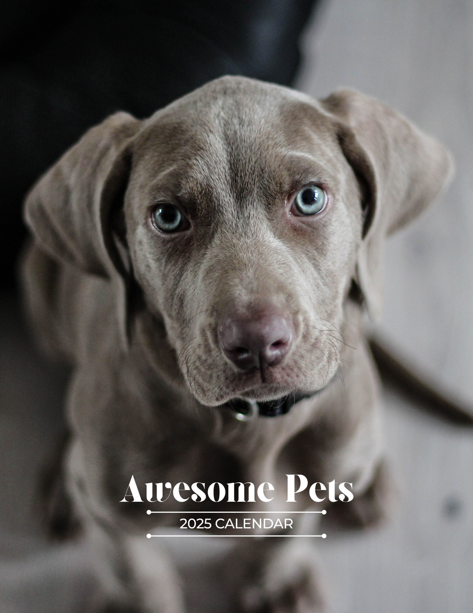 Awesome Pets 2025 Wall Calendar (PreOrder) Praise My Pet!