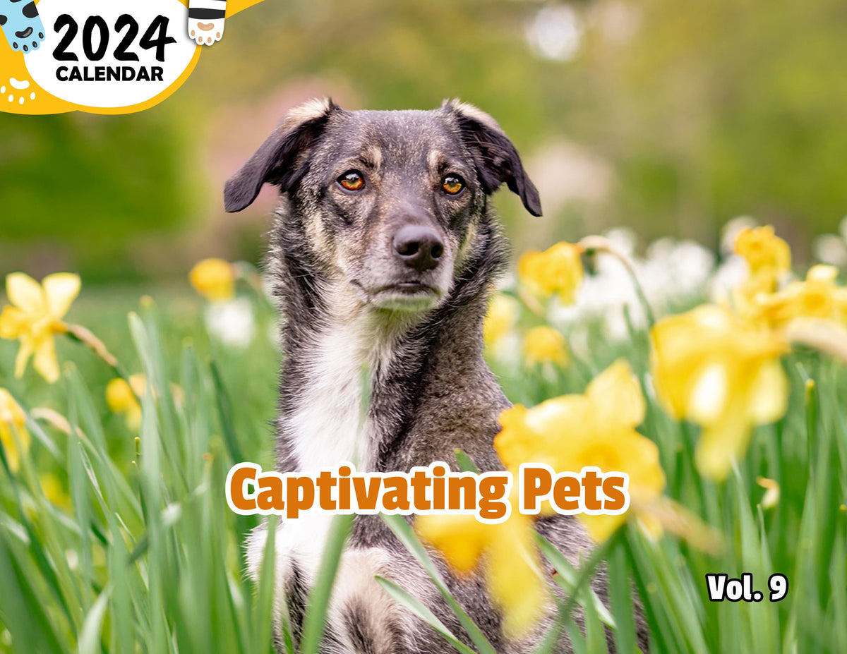 Captivating Pets Volume Nine 2024 Wall Calendar (PreOrder) Praise