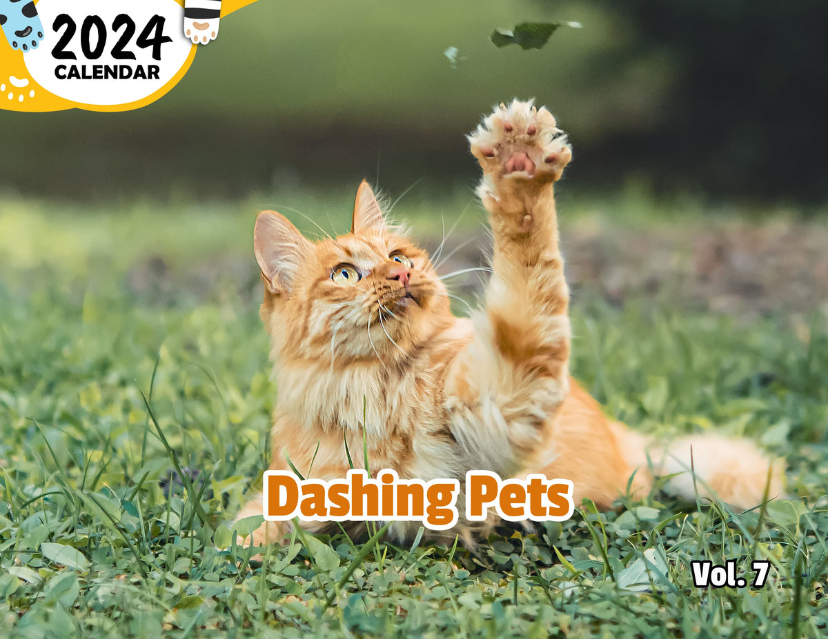 Dashing Pets Volume Seven 2024 Wall Calendar (Published) Praise My Pet!