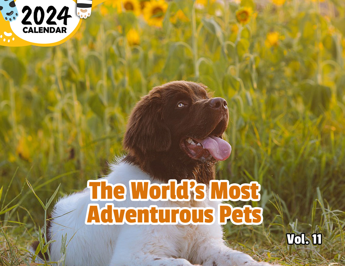 The World's Most Adventurous Pets Volume Eleven 2024 Wall Calendar (P