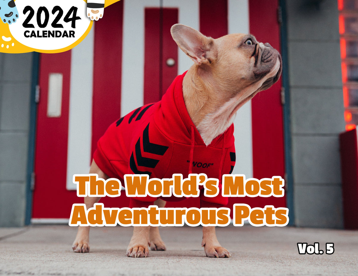 The World's Most Adventurous Pets Volume Five 2024 Wall Calendar (Pre