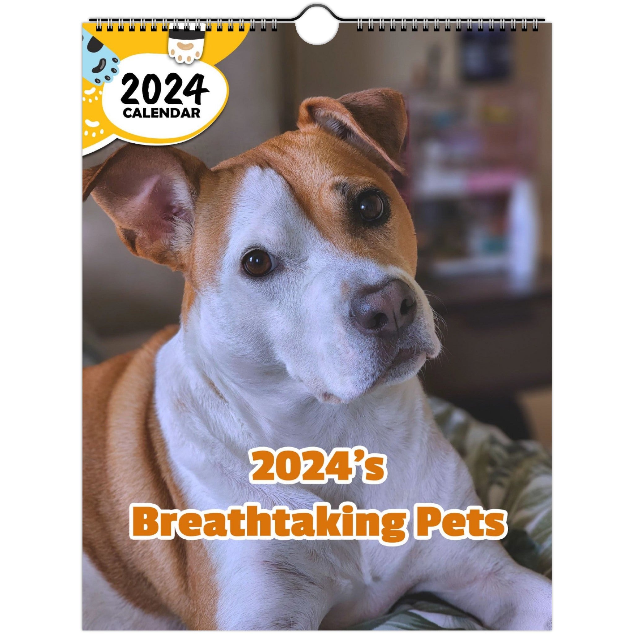 2024's Breathtaking Pets: 2024 Wall Calendar (Published)