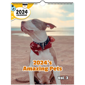 2024's Amazing Pets Volume Three: 2024 Wall Calendar (Published)