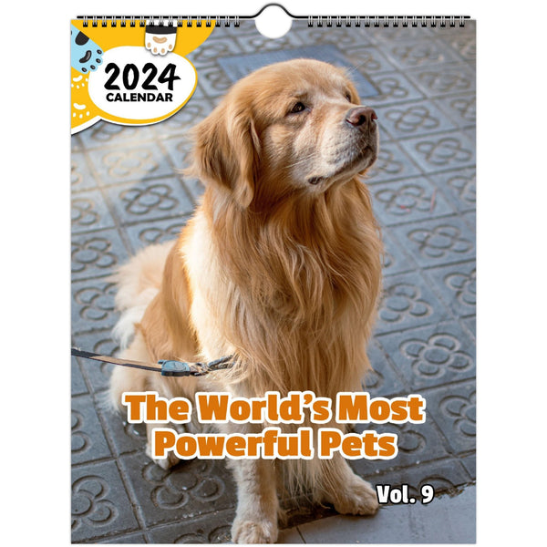 Top 9 New Dog Essentials - 2024