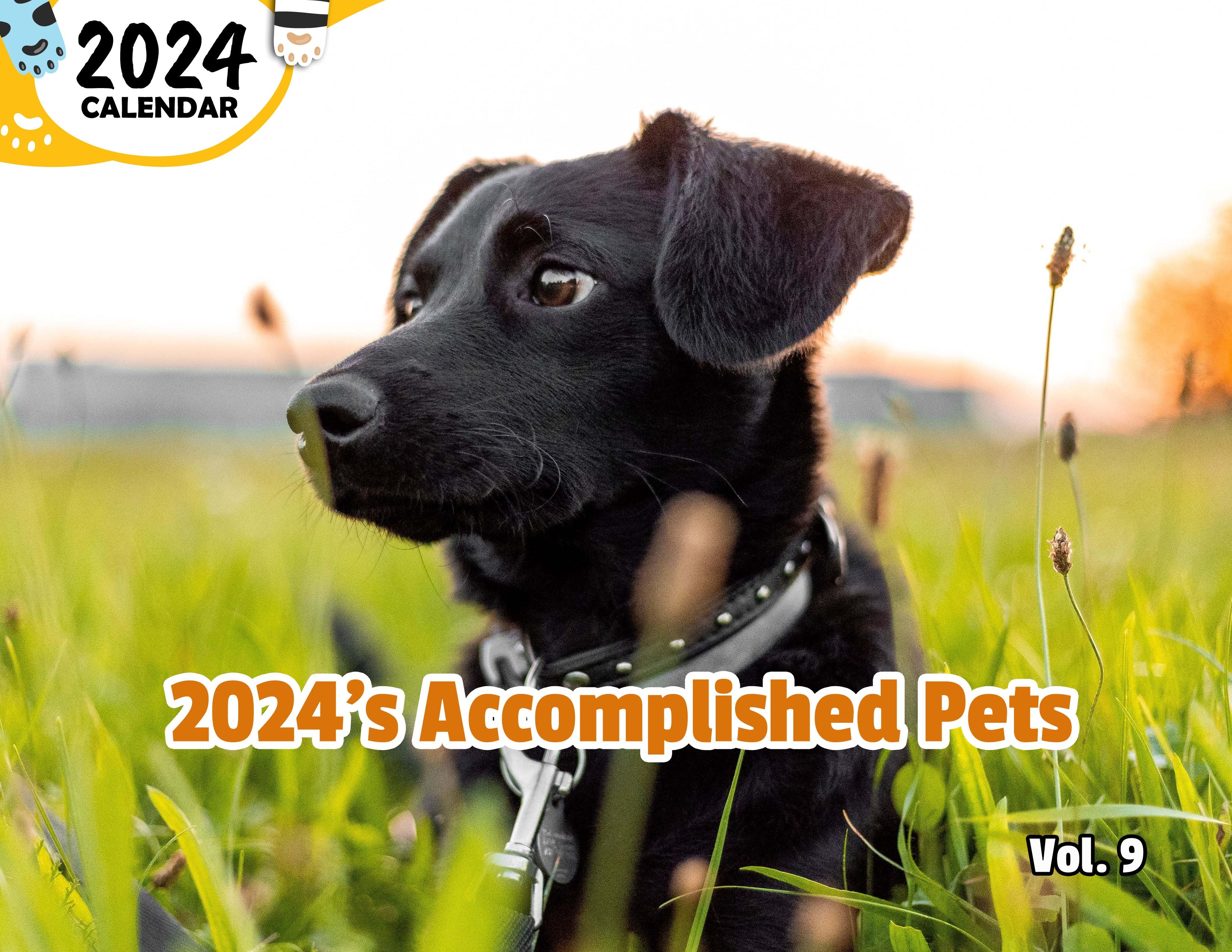 2024's Accomplished Pets Volume Nine: 2024 Wall Calendar (Published)