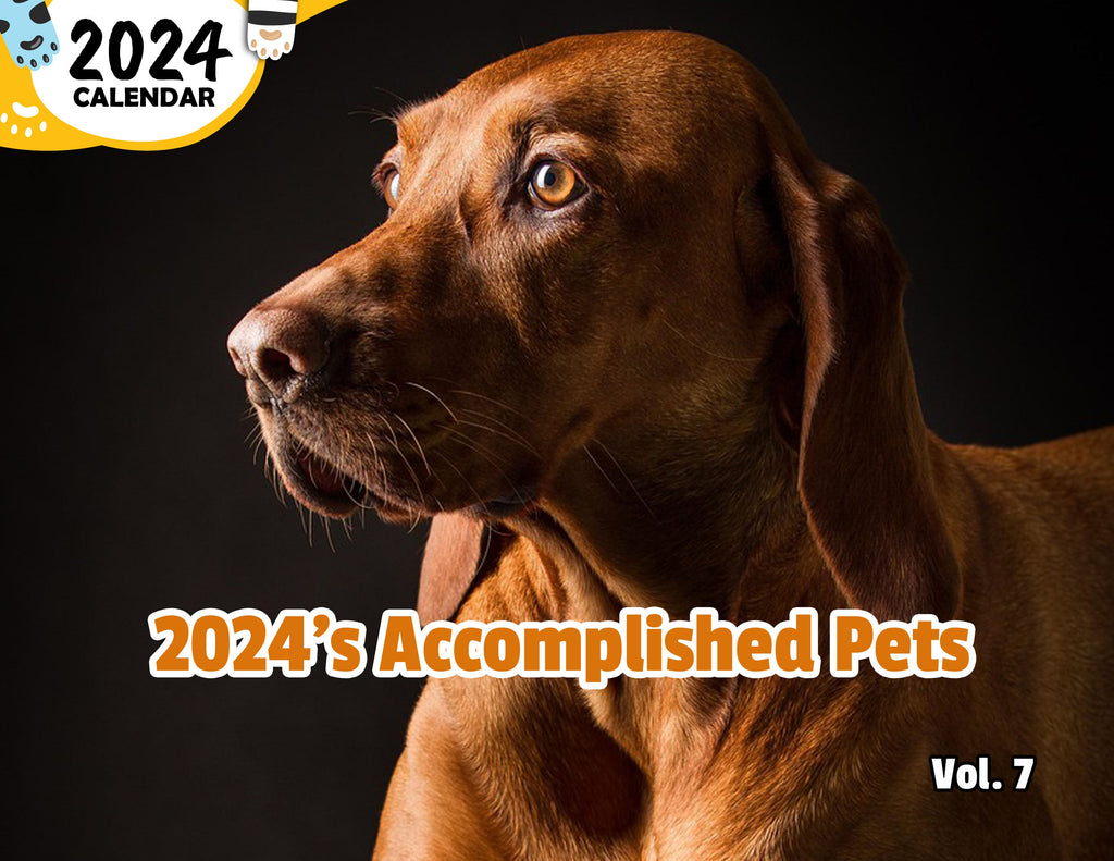 2024's Accomplished Pets Volume Seven: 2024 Wall Calendar (Published)