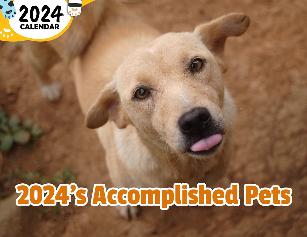 2024's Accomplished Pets: 2024 Wall Calendar (Published)